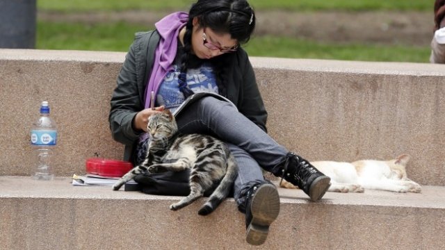 <p>
	<em>Снимка: архив, Ройтерс</em></p>
