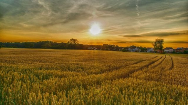 <p>
	<em>Снимка: Архив Ройтерс</em></p>
