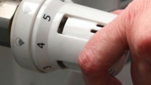 <p>
	<em>Снимка: БГНЕС</em></p>
