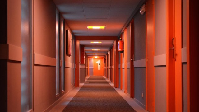 Снимка: Pixabay