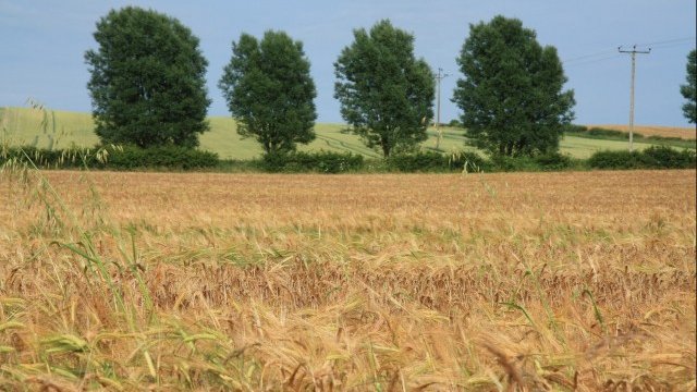 <p>
	<em>Снимка: freeimages.com</em></p>
