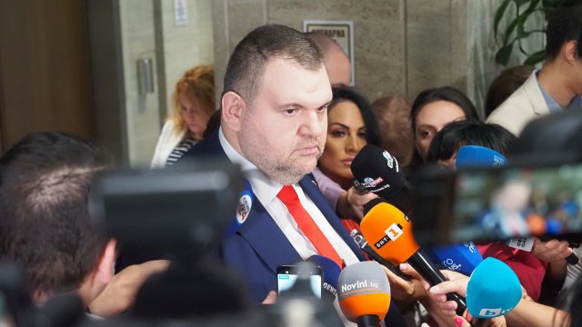 Снимка: БГНЕС