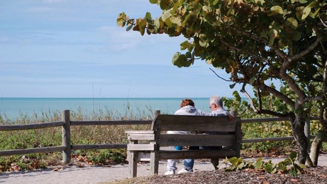 <p>
	<em>Снимка: freeimages.com</em></p>
