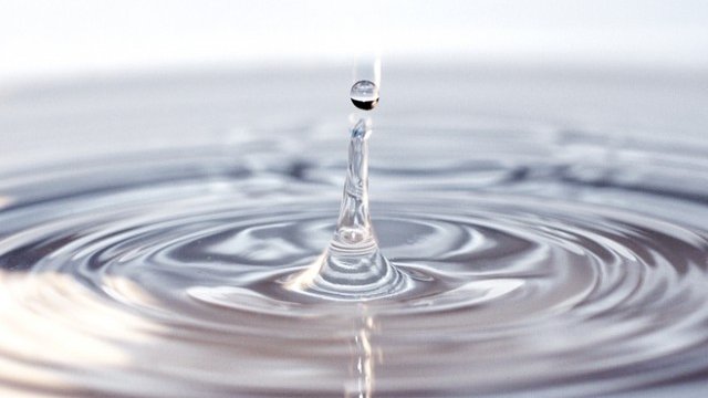 <p>
	<em>Снимка: freeimages.com</em></p>
