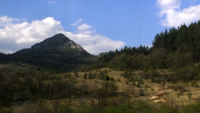 <p>
	<em>Снимка: Община Трън</em></p>
