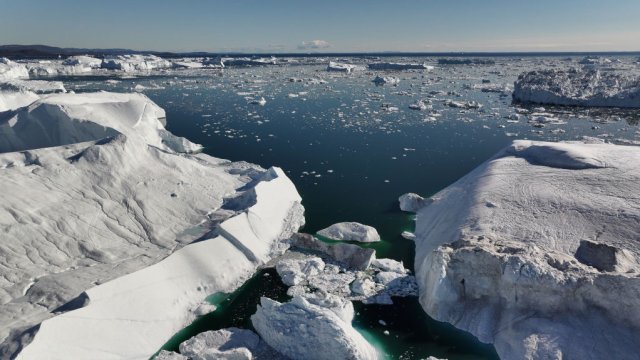 Снимка: Sean Gallup/Getty Images