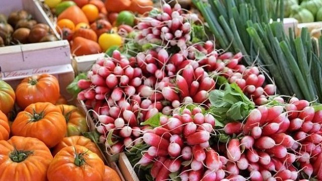 <p>
	<em font-size:="" pt="" style="color: rgb(102, 102, 102); font-family: ">Снимка: архив, Ройтерс</em></p>
