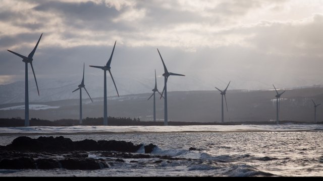 Снимка: Bloomberg LP