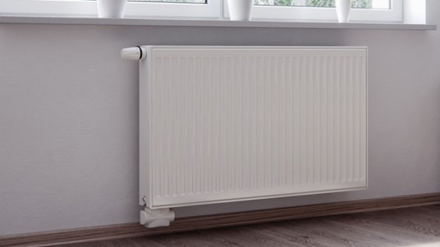 <p>
	<em>Снимка: Корадо</em></p>
