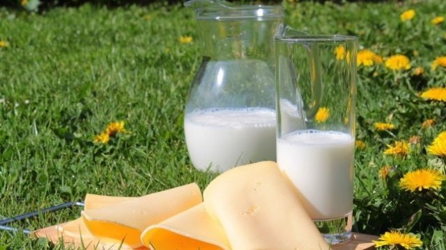 <p>
	<em font-size:="" pt="" style="color: rgb(102, 102, 102); font-family: ">Снимка: Pixabay</em></p>
