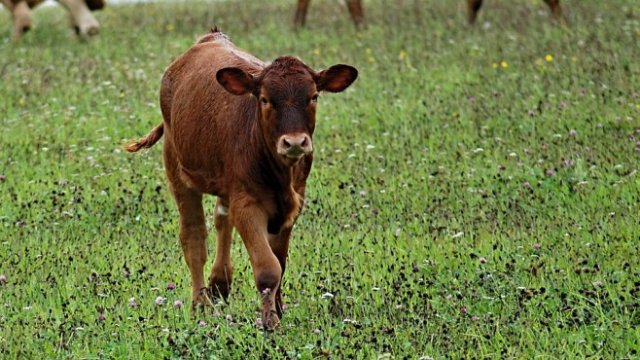 <p>
	<em>Снимка: Pixabay</em></p>
