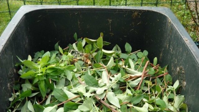 <p>
	<em>Снимка: Pixabay</em></p>
<p>
	&nbsp;</p>
