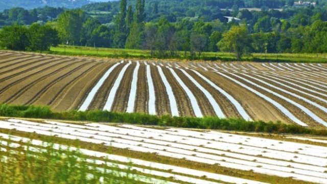 <p>
	<em>Снимка: Pixabay.com</em></p>
