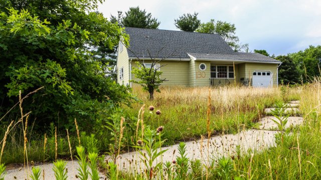 Снимка: Christopher Goodney/Bloomberg