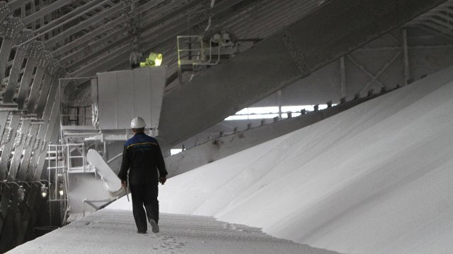 Износът на храни и изкуствени торове от Русия е изключен от западните санкции. Снимка: Andrey Rudakov/Bloomberg