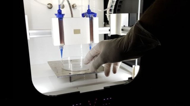 <p>
	Снимка: Printivo</p>
