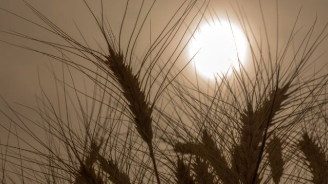 <p>
	<em>Снимка: Bloomberg LP</em></p>
