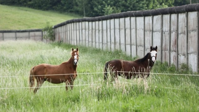 Кадър на деня за 25 май