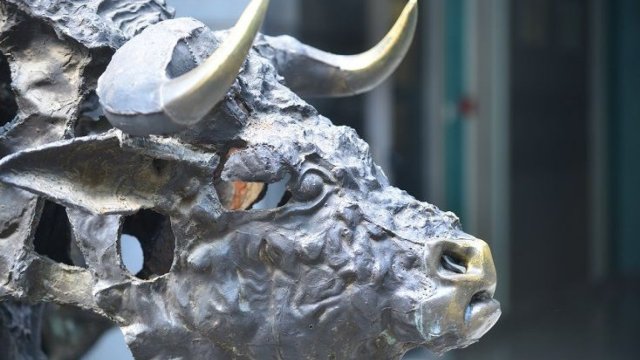 Снимка: БФБ