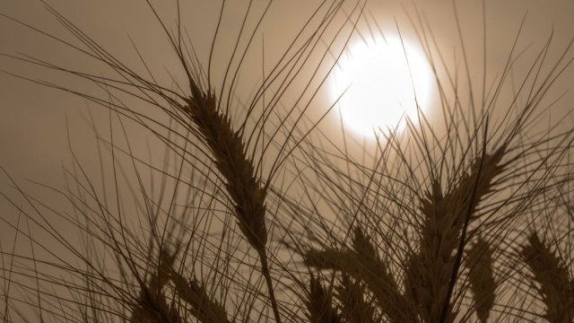 Снимка: Bloomberg LP