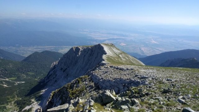 <p>
	<em>Снимка: Pixabay</em></p>
