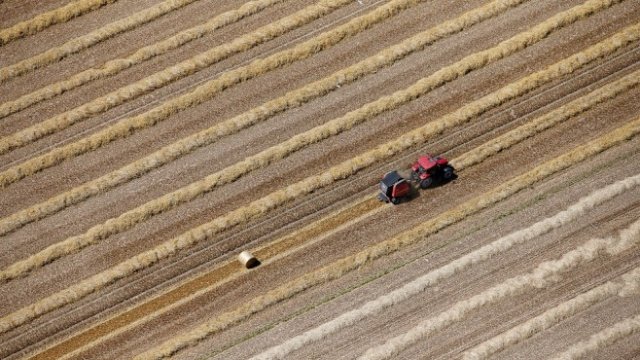 <p>
	<em>Снимка: Архив Ройтерс</em></p>
