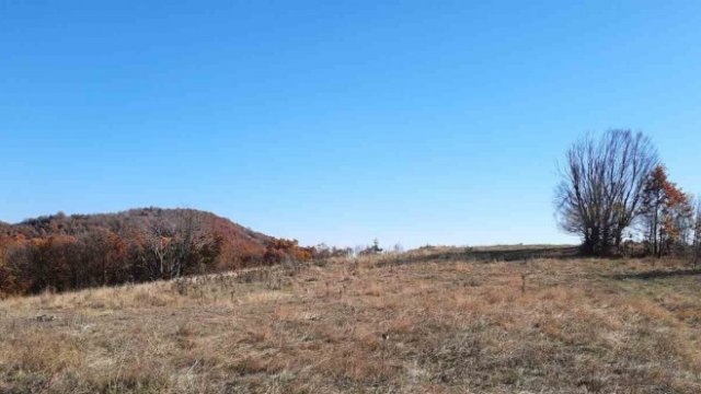 <p>
	<em>Снимка: Investor.bg</em></p>
