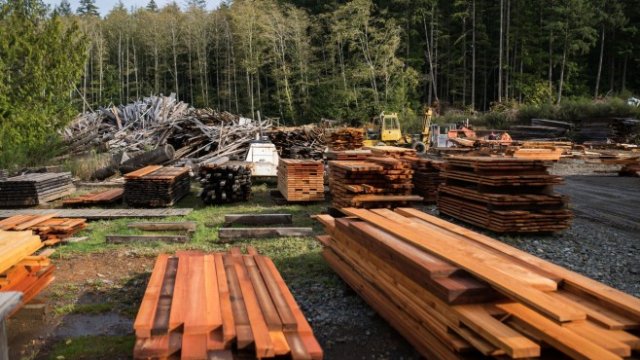 <p>
	<em>Снимка: James MacDonald/Bloomberg</em></p>
