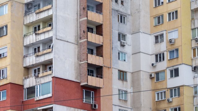 Снимка: Pexels