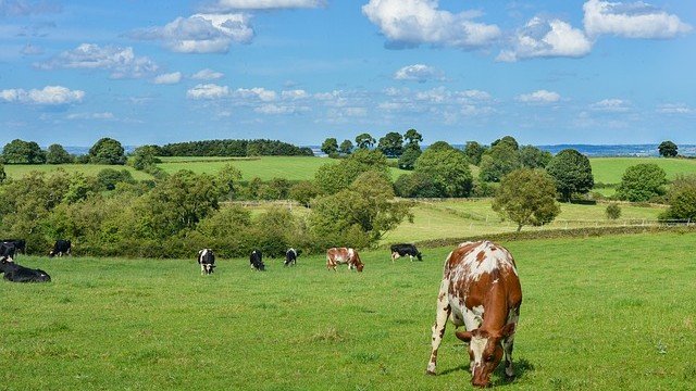 <p>
	<em>Снимка: Pixabay</em></p>
