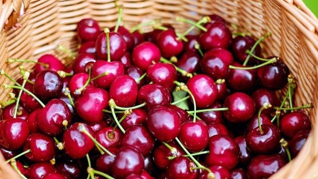 <p>
	<em>Снимка: Pixabay</em></p>
