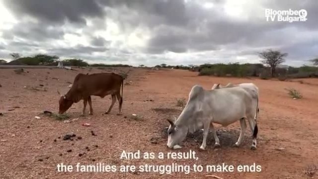 Суша връхлетя Източна Африка