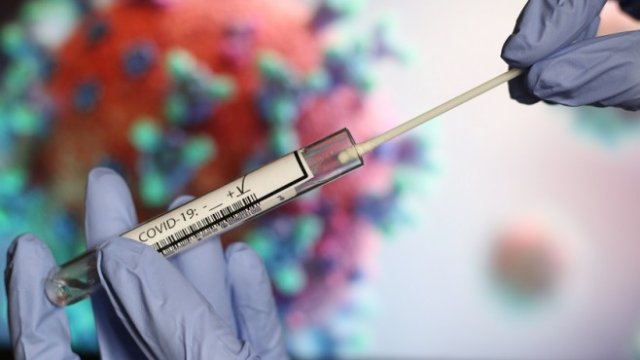 <p>
	<em>Снимка: БГНЕС</em></p>
