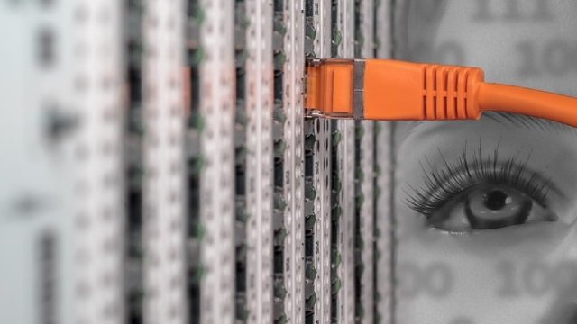 <p>
	<em>Снимка: Pixabay</em></p>
