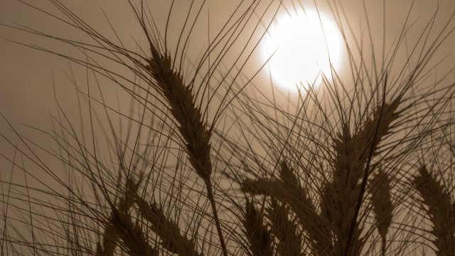 Снимка: Bloomberg LP