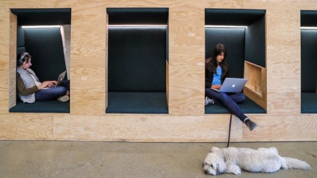 <p>
	<em>Снимка: Архив Ройтерс</em></p>
