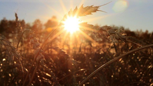 <p>
	<em>Снимка: Архив Ройтерс</em></p>
