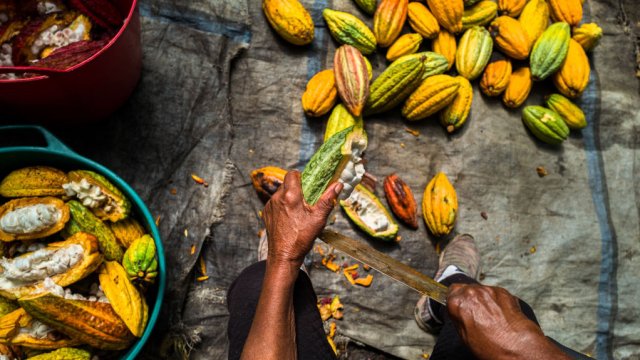Снимка: Jan Sochor/Getty Images
