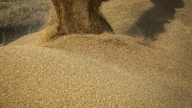 Снимка: Bloomberg LP