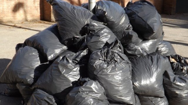 <p>
	<em>Снимка: Pixabay</em></p>
