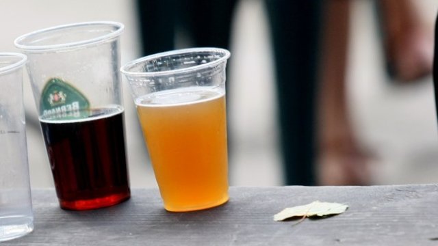 <p>
	<em>Снимка: БГНЕС</em></p>
