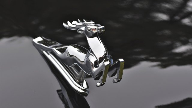 Снимка: Pixabay