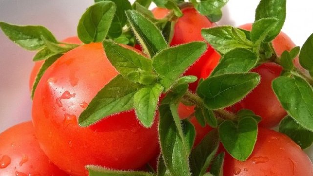 <p>
	<em>Снимка: Pixabay</em></p>
