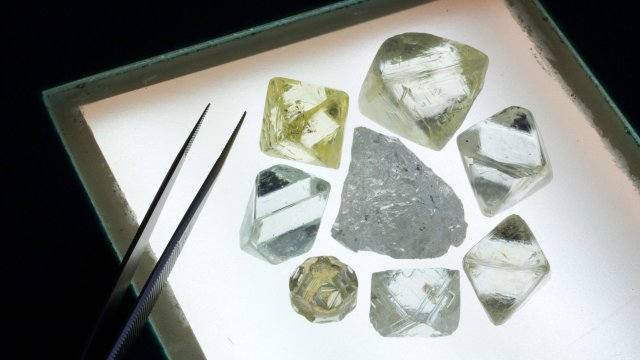 Снимка: Bloomberg LP