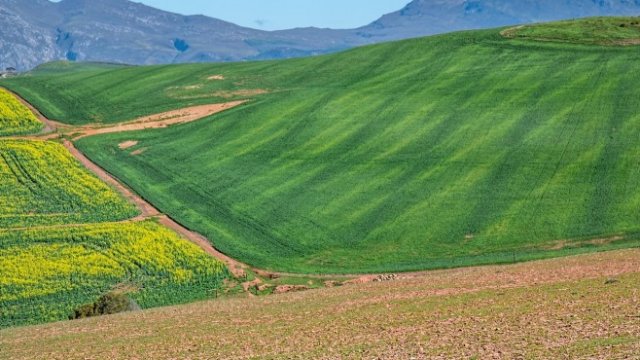 <p>
	<em>Снимка: Pixabay</em></p>
