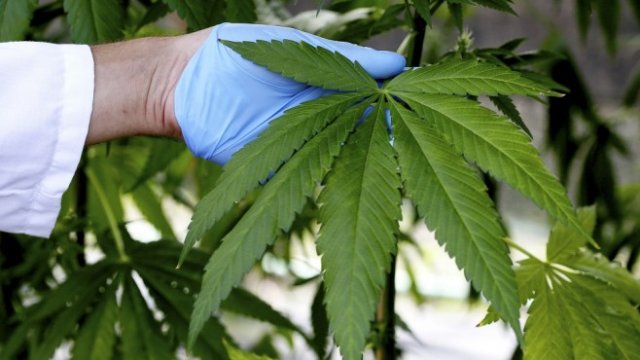 <p>
	<em>Снимка: Архив Ройтерс</em></p>
