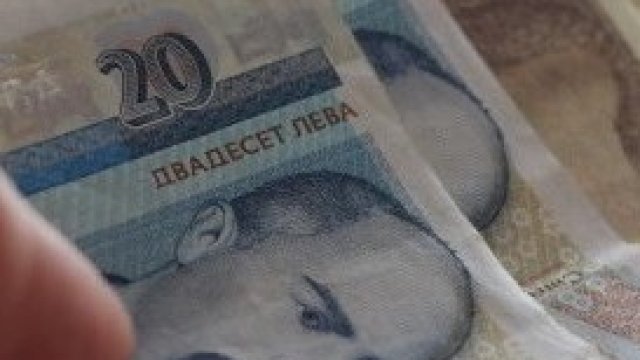 <p>
	<em>Снимка: Благой Кирилов, БГНЕС</em></p>
