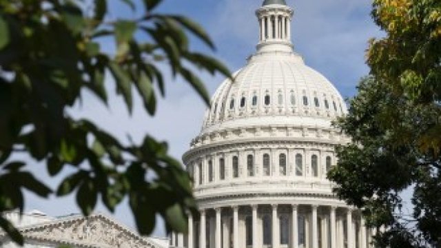 <p>
	<em>Снимка: Bloomberg LP</em></p>
