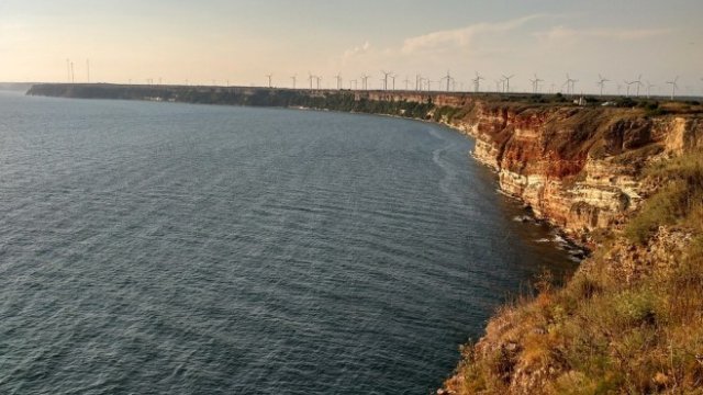 <p>
	<em>Снимка: Pixabay</em></p>
