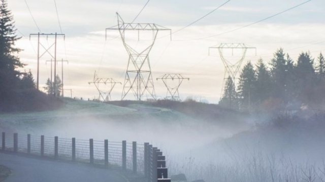 <p>
	<em>Снимка: Pixabay.com</em></p>
